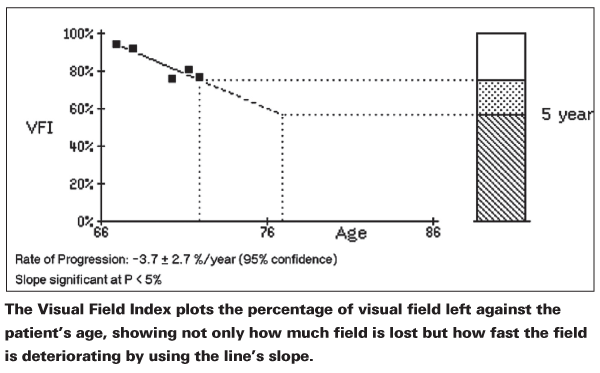 Visual Field Chart Interpretation